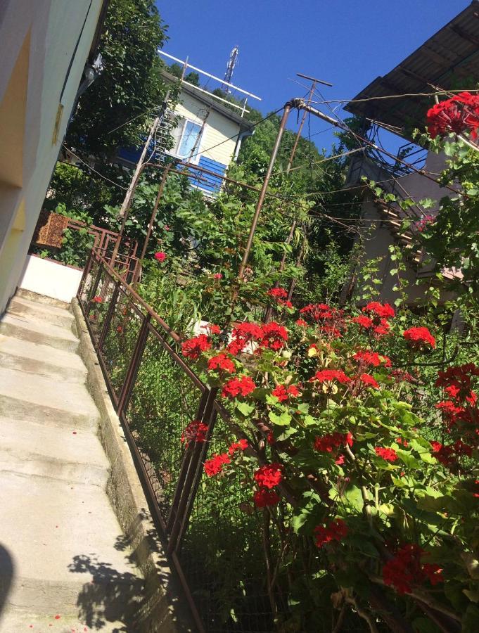 Гостевой Дом «Лиза» Ξενοδοχείο Γκάγκρα Εξωτερικό φωτογραφία